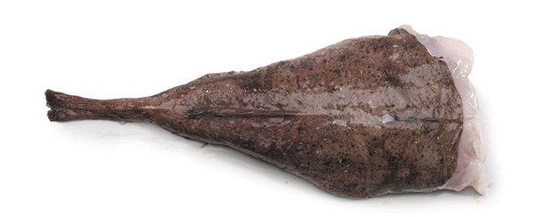 Breiflabb Haler 2-4 kg Fersk