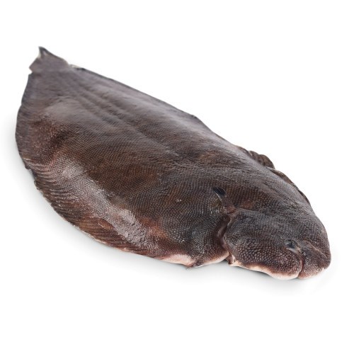 Sjøtunge 3-500 gr. dypfryst