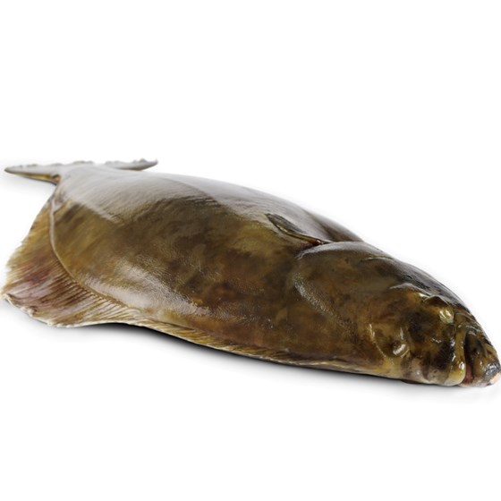 Kveite Hel 7-9kg, Fersk