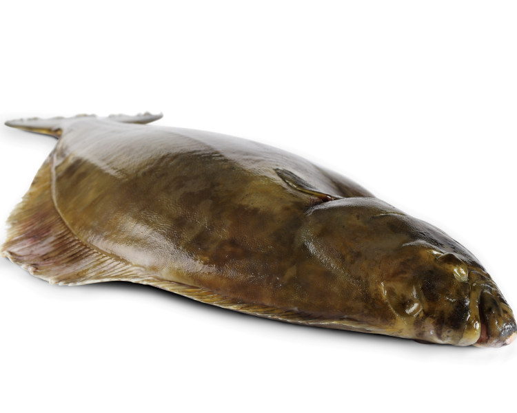 Kveite Hel 7-9kg, Fersk