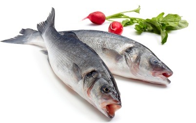 Sea Bass. 4-600 gr. Fersk