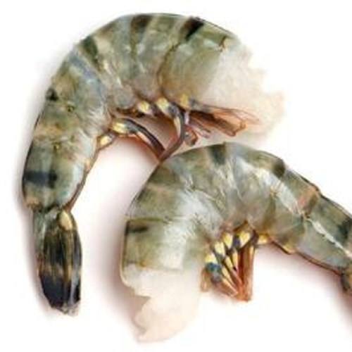 Scampi m/skall 16/20