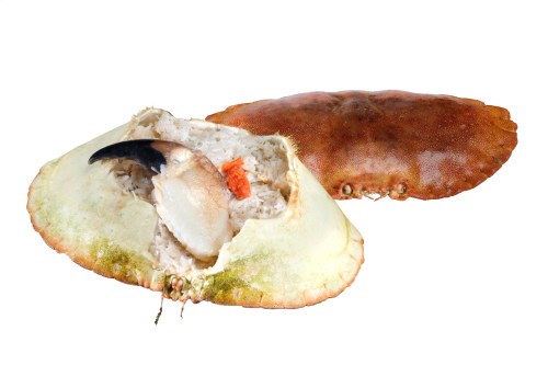 Krabbeskjell 150 gr Dypfryst