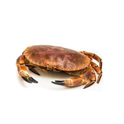 Krabbe Kokt Fosen