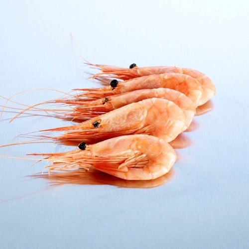 Reker Lyngen 80/100 Ferske