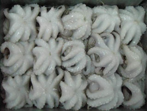 Baby Octopus,30-60 pr kg.
