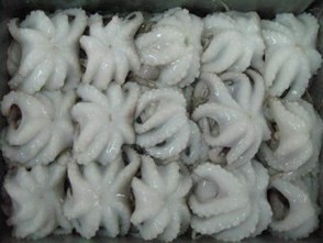 Baby Octopus,30-60 pr kg.