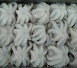 Baby Octopus,30-60 pr kg.