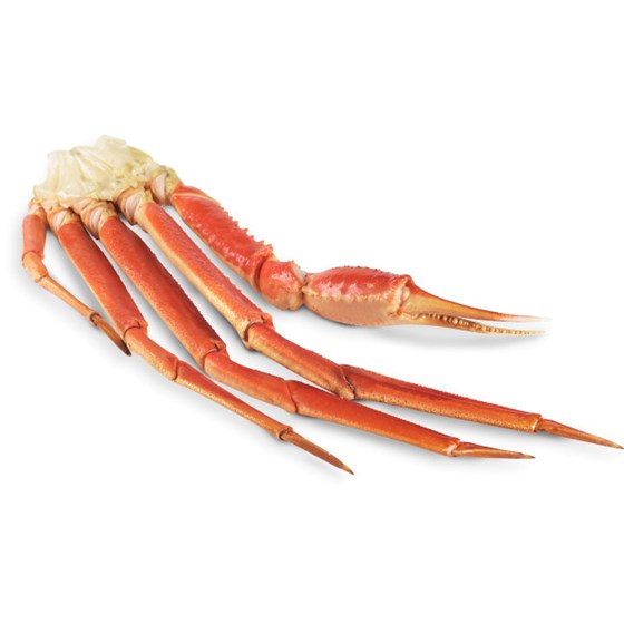 Snowcrab Kokt 10-16 oz Dypfr