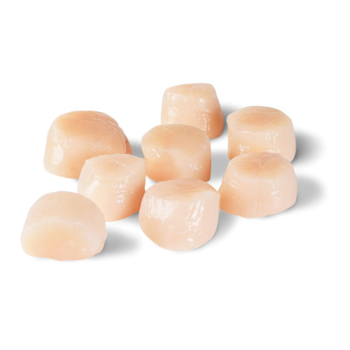 Kamskjell, Clearwater 10/20