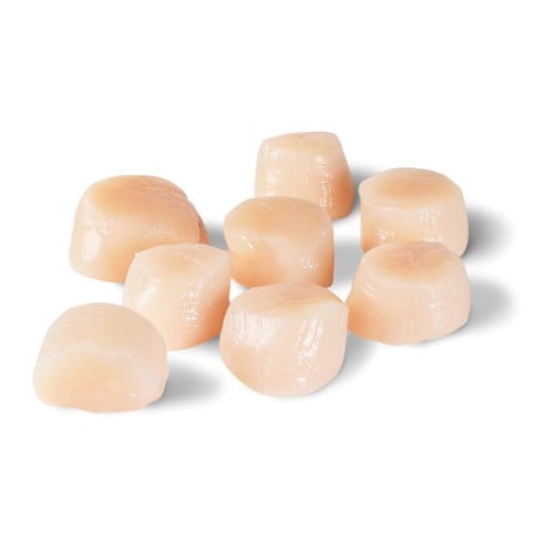 Kamskjell, Clearwater 10/20