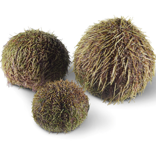 Kråkeboller hele grønne ca 70-