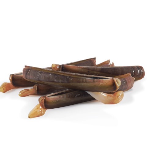 Knivskjell ferske. Holland.