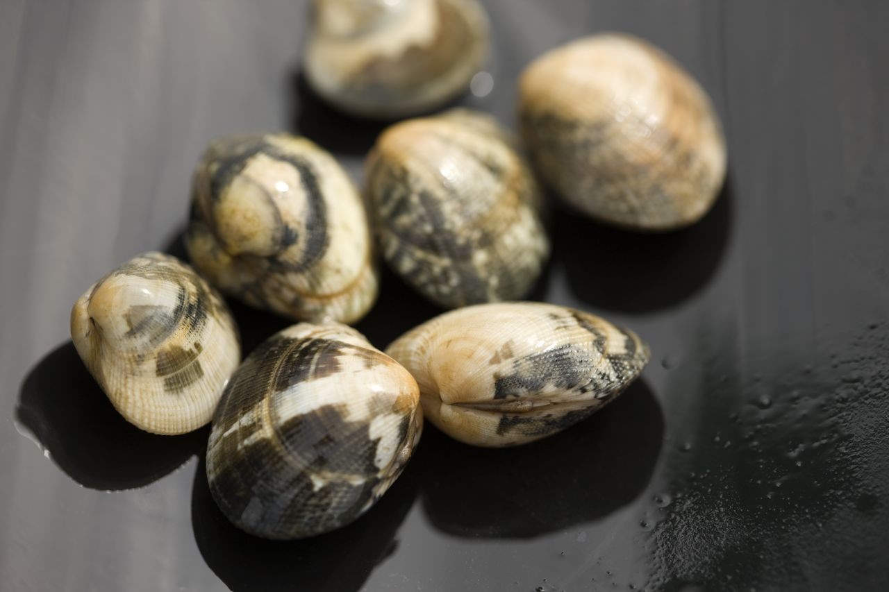 Teppeskjell 3 kg Fersk