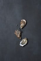 Østers Gillardeau 24 stk